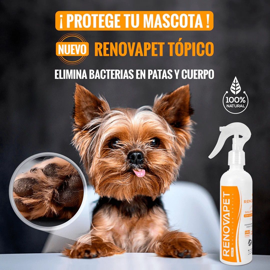 Renovapet Solución Tópica
